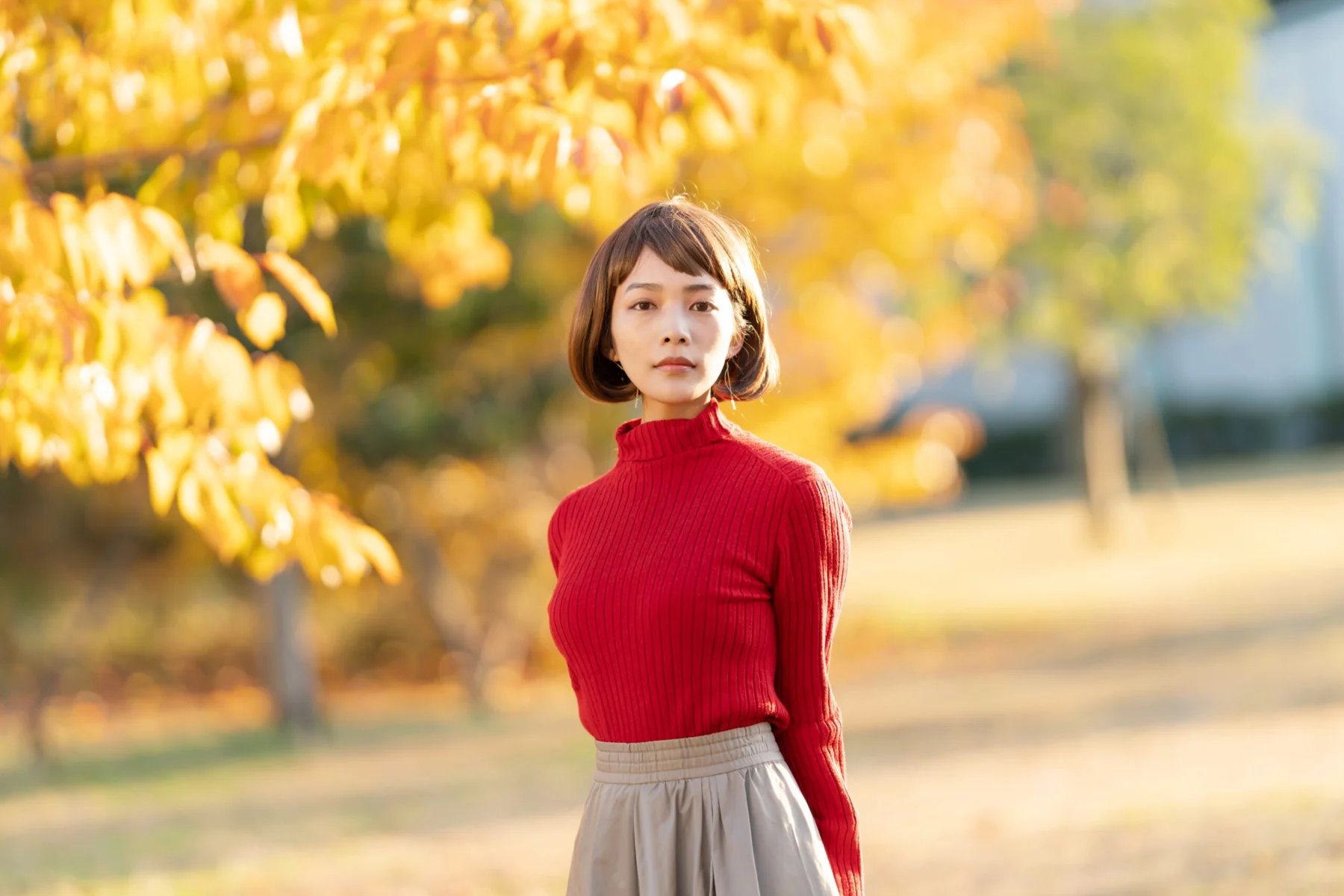 秋の柔らかな日差しを浴びる上品な女性のビジュアル